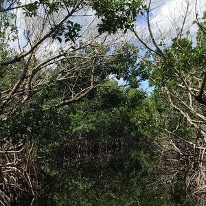 Meet your Posher, Kayle